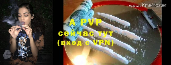 стаф Абаза